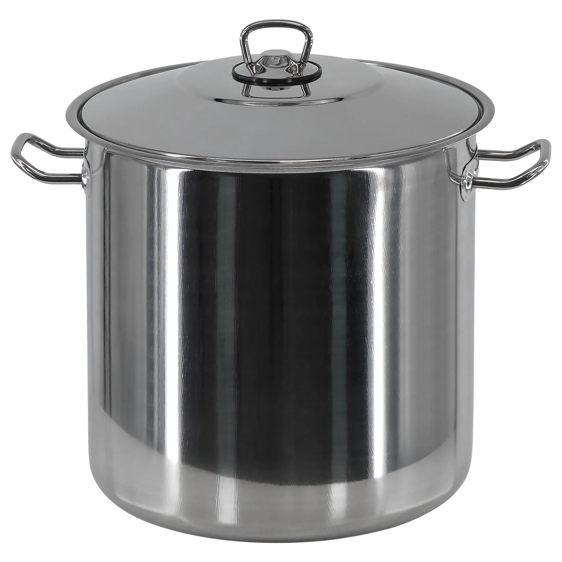 Arian Gastro Stock Pot - 11 Litre