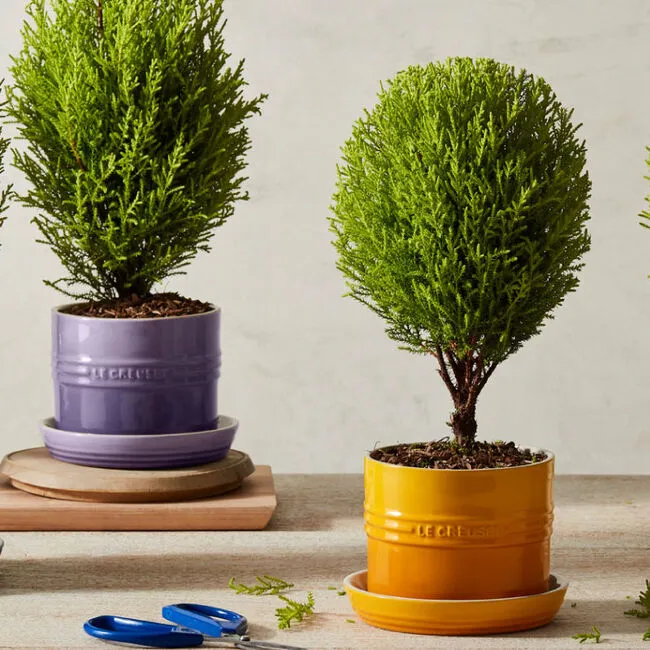 Le Creuset Herb Planter