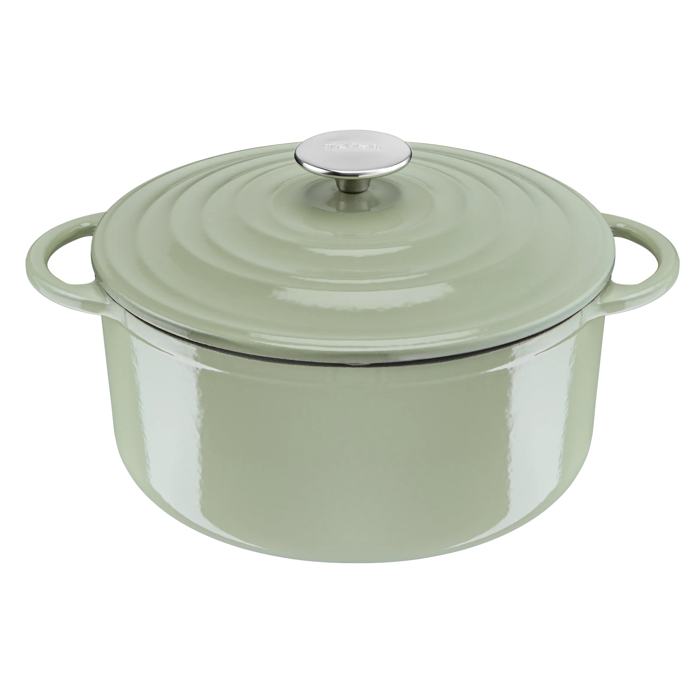 Tefal LOV Induction Cast Iron Green Lichen Stewpot 25cm/5L   Lid