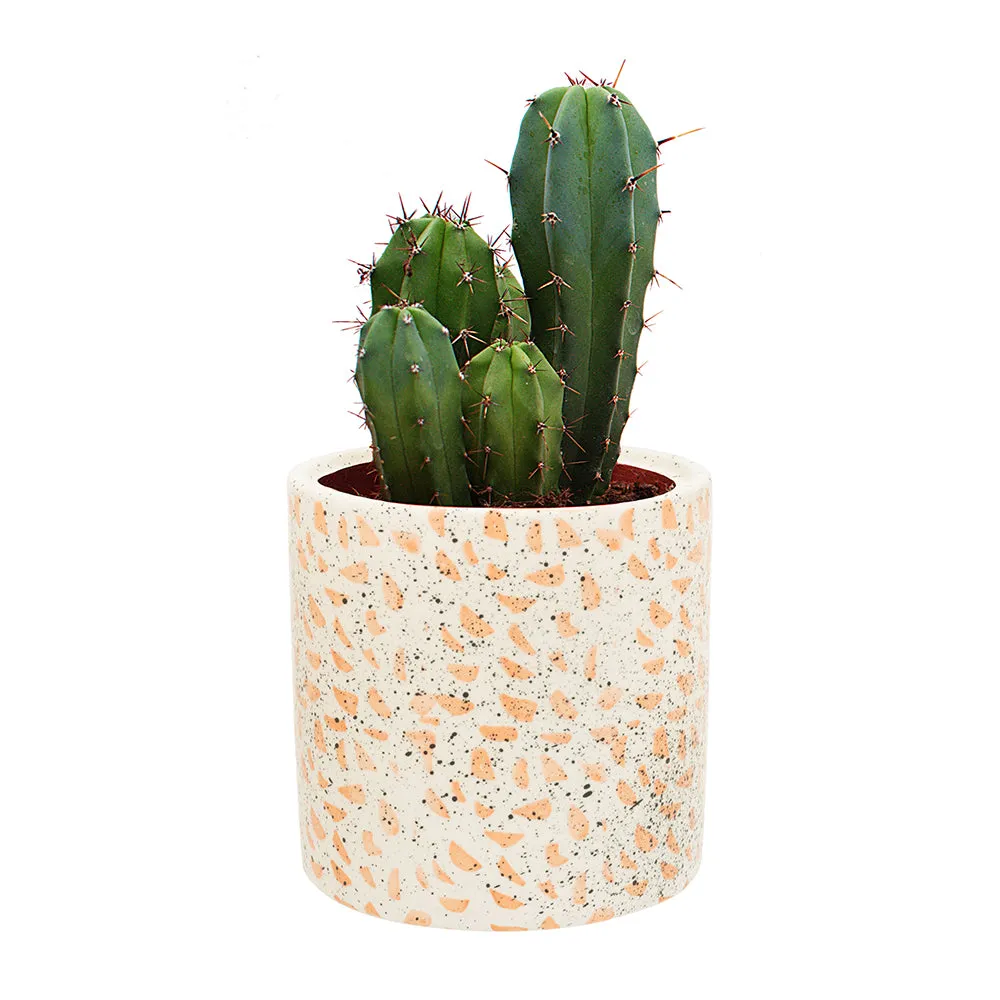 Terrazzo Plant Pot